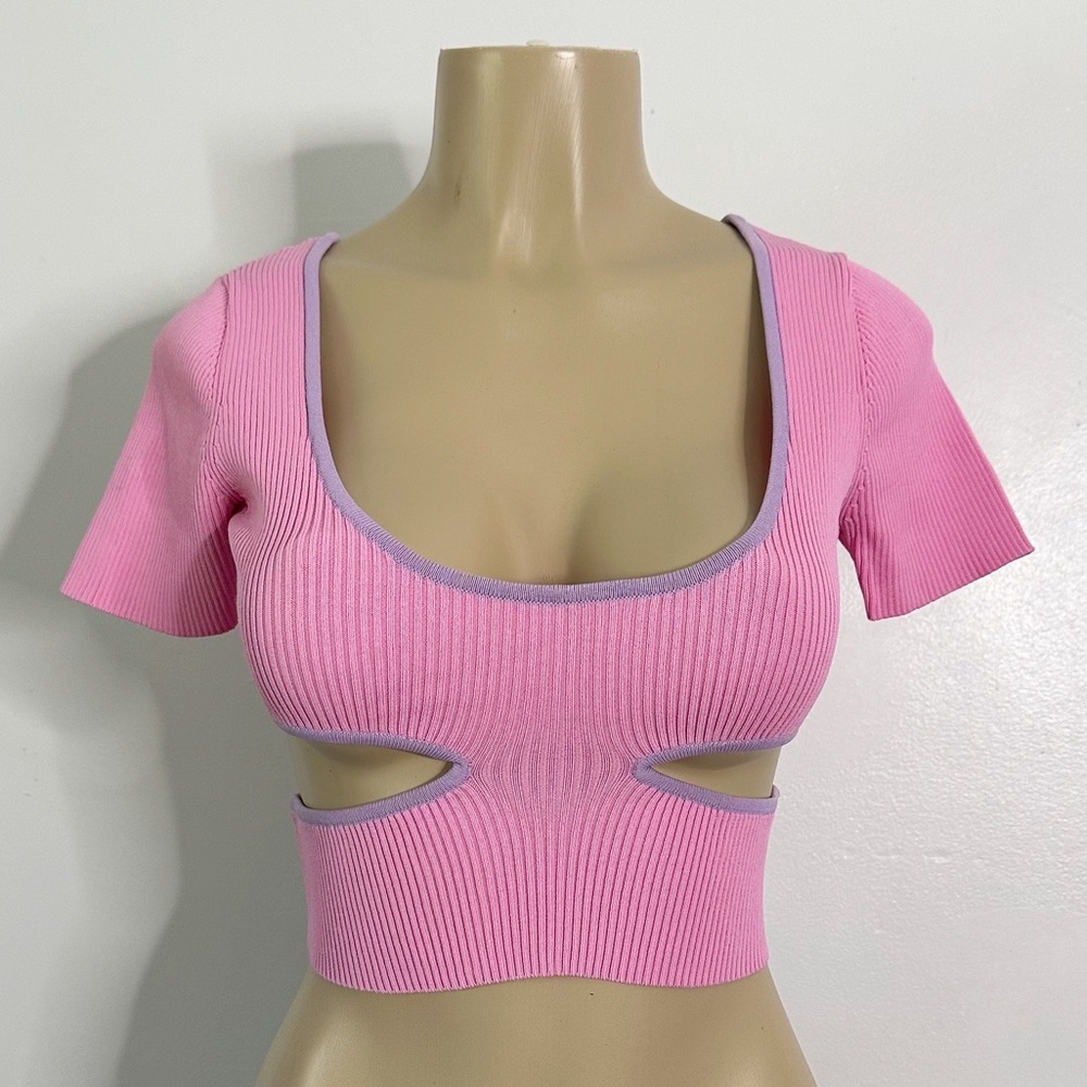 Poster Girl Cut Out Knit Short Sleeve Crop Top